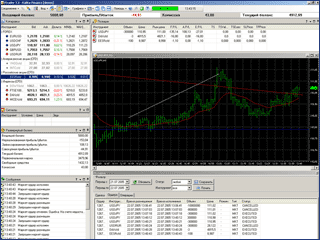 Ability to manage account online and watch the history of deals, orders and operations